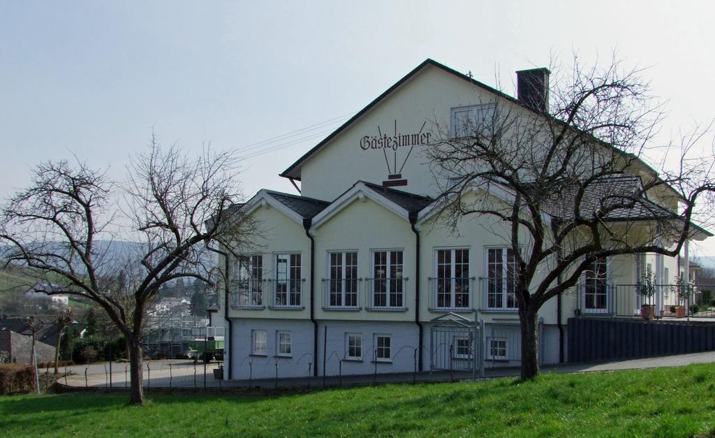 Wein & Gaestehaus Rosenlay Lieser Kültér fotó